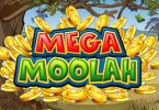 Mega Moolah Jackpot mit über 10 Millionen prall gefüllt