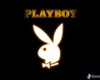 Playboy Slot nun als Multiplayer Slot verfügbar